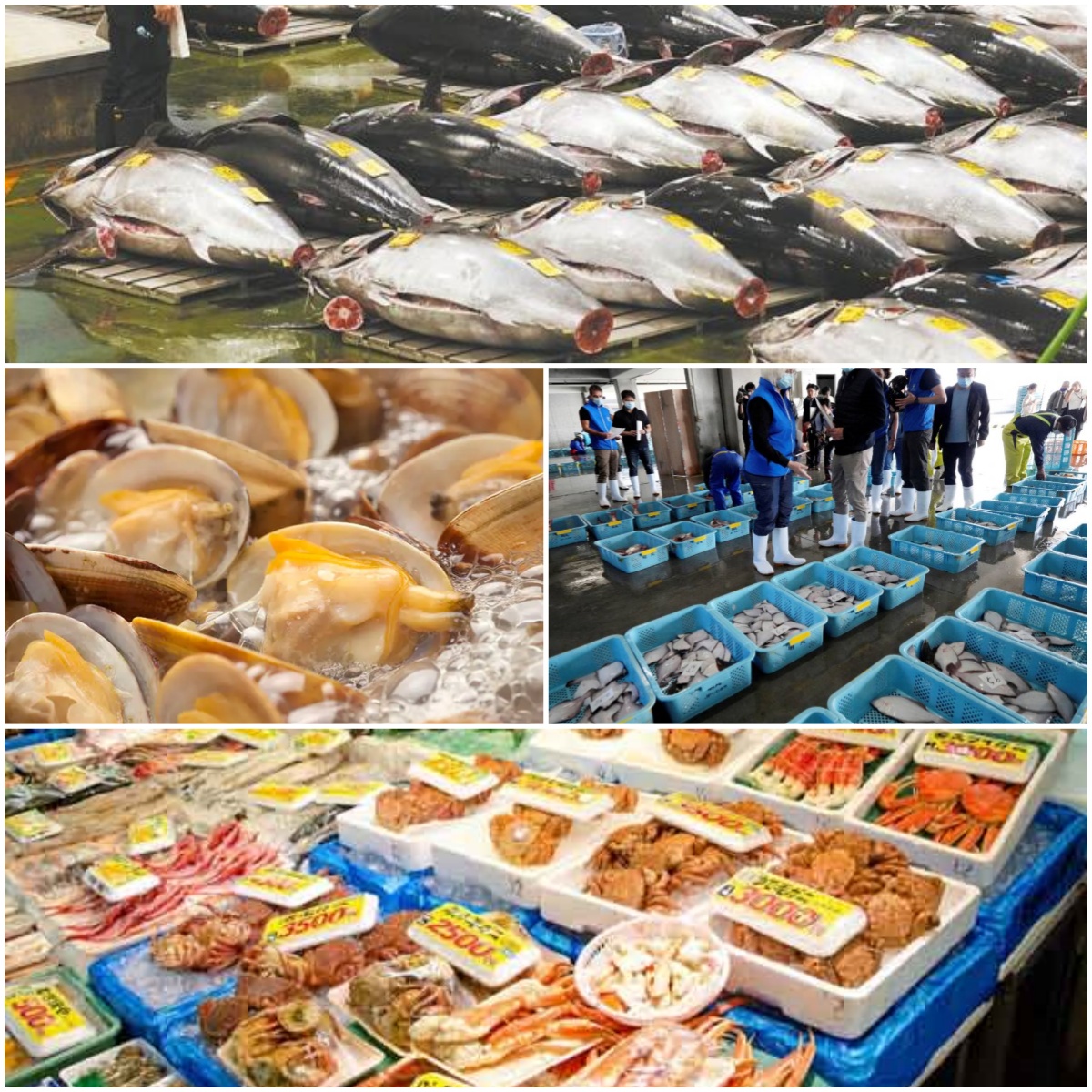 日本宣布中国同意恢复水产进口