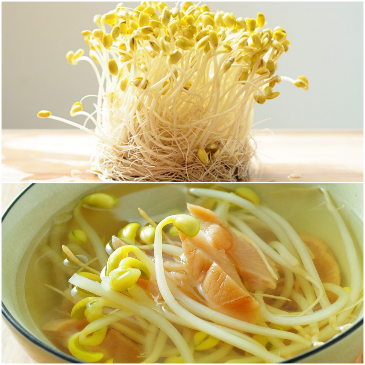 芽菜能生吃吗？营养密度超蔬菜，这样吃更养生！