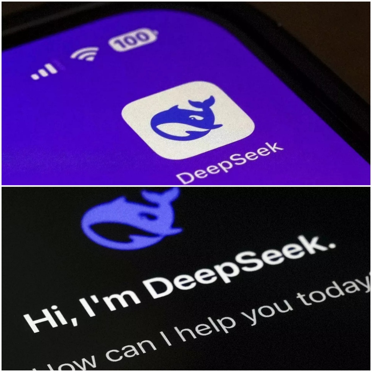 捷克政府禁止公共行政部门使用DeepSeek